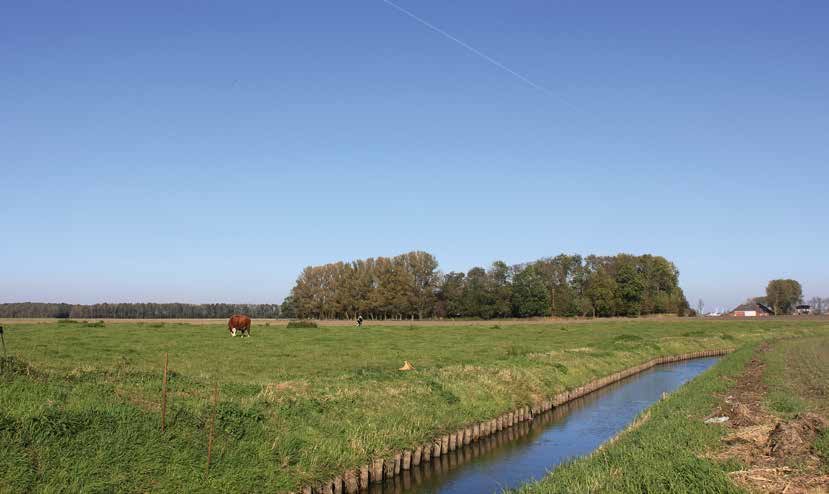 Links ligt het voormalige kloosterterrein, tussen de bomen ligt de boerderij Grijzemonnikenklooster. Op de voorgrond stroomt de Oude A. Foto: Martin Hillenga.